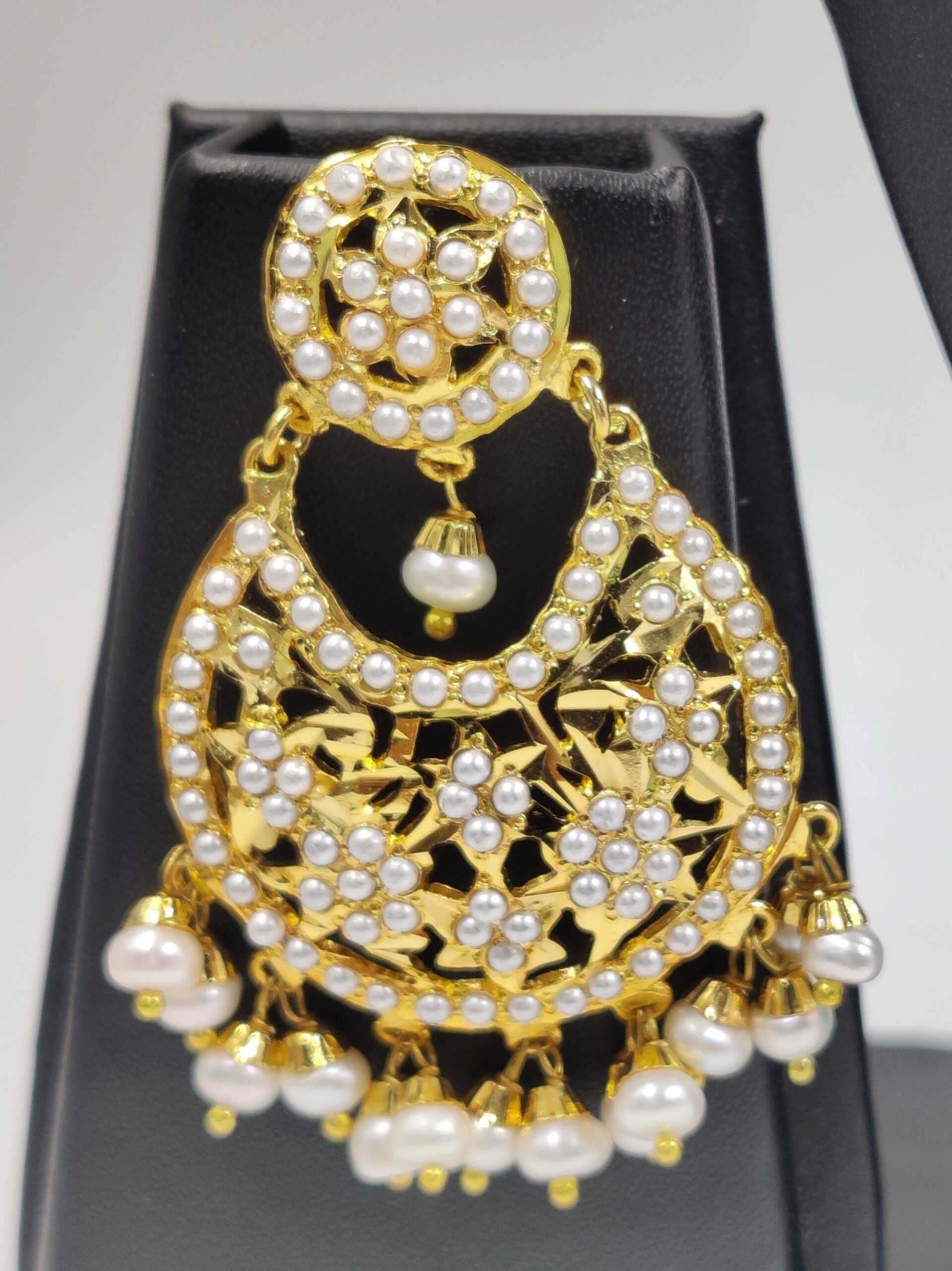 IMG_20201211_001203 Copy